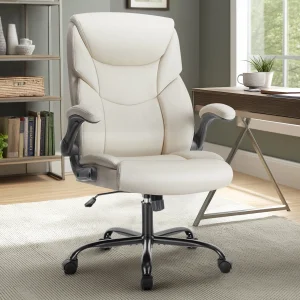 Ergonomic Office Chair